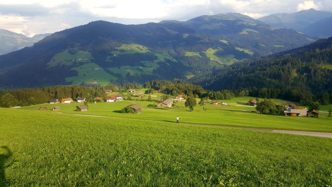 Schrandl Apartment Penningberg Hopfgarten im Brixental Eksteriør billede