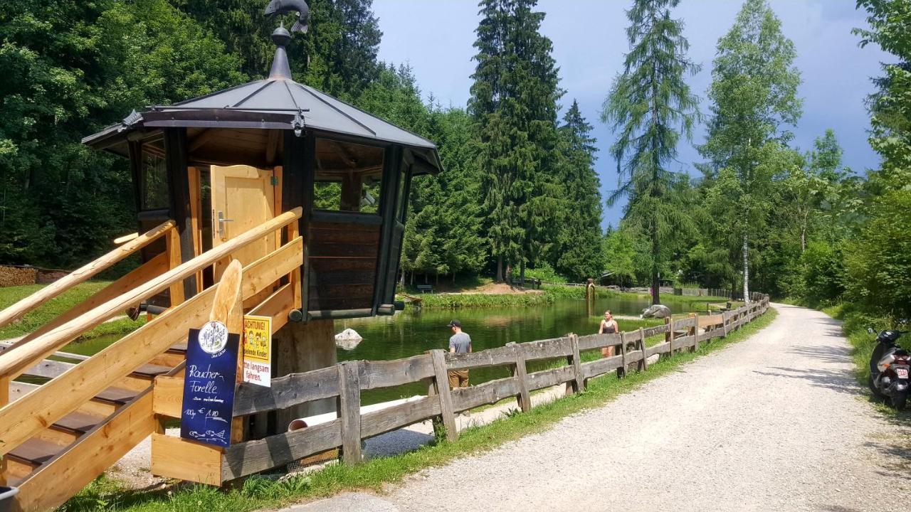 Schrandl Apartment Penningberg Hopfgarten im Brixental Eksteriør billede