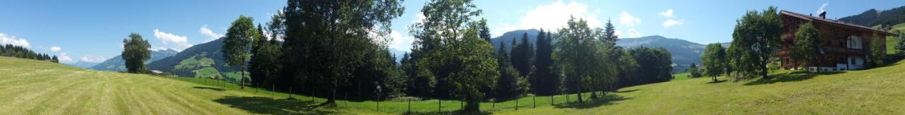 Schrandl Apartment Penningberg Hopfgarten im Brixental Eksteriør billede