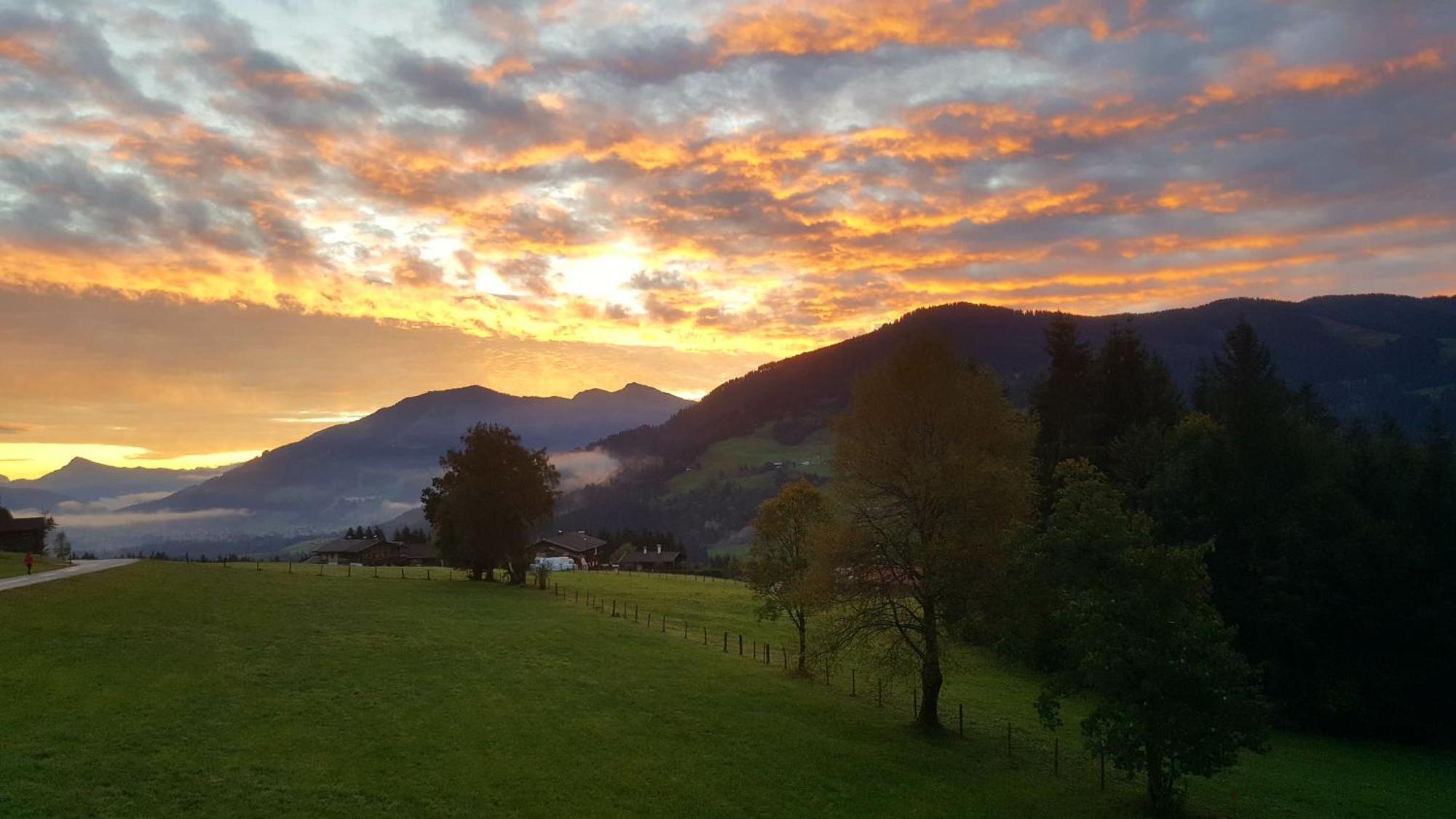 Schrandl Apartment Penningberg Hopfgarten im Brixental Eksteriør billede