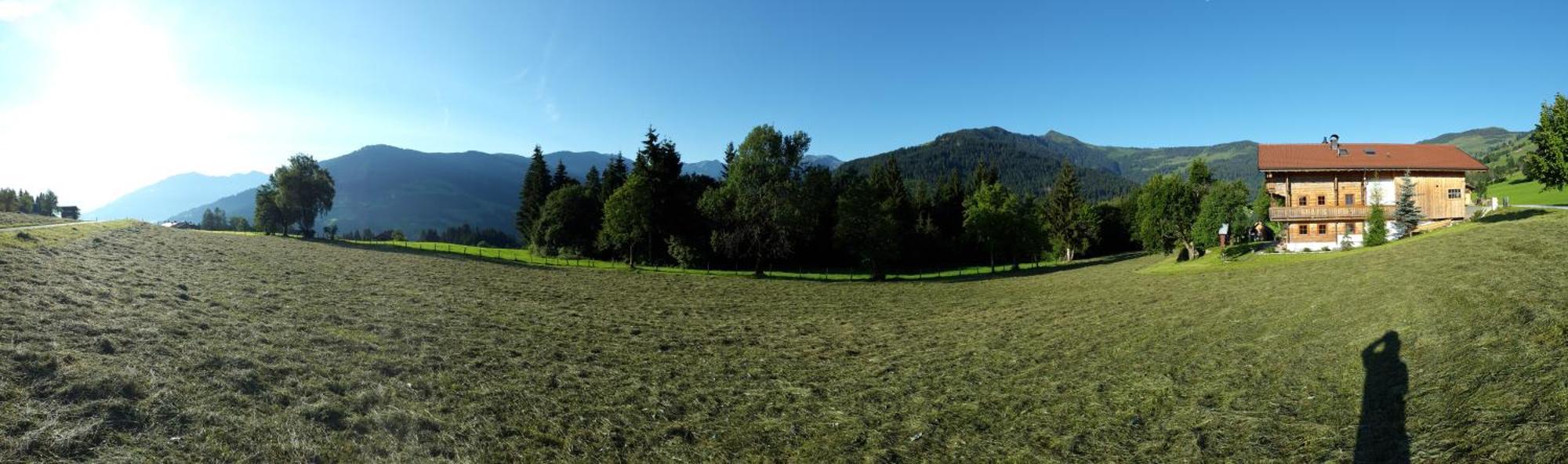 Schrandl Apartment Penningberg Hopfgarten im Brixental Eksteriør billede