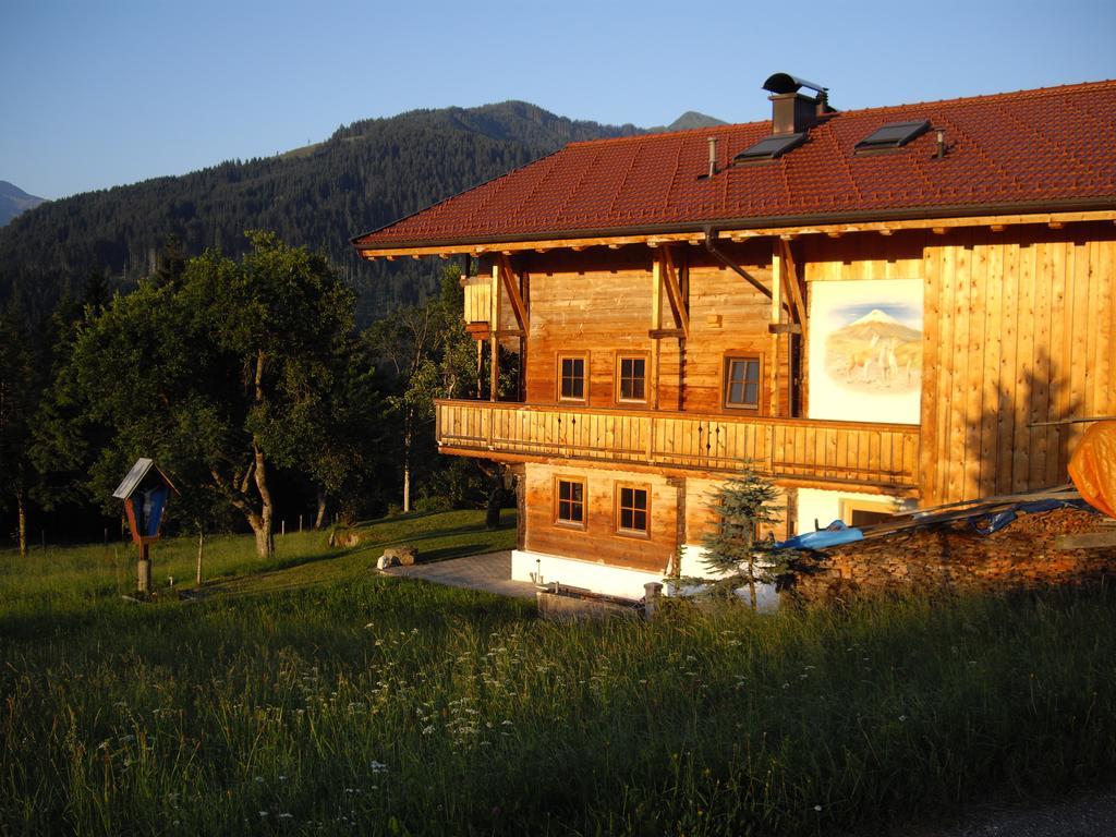 Schrandl Apartment Penningberg Hopfgarten im Brixental Eksteriør billede