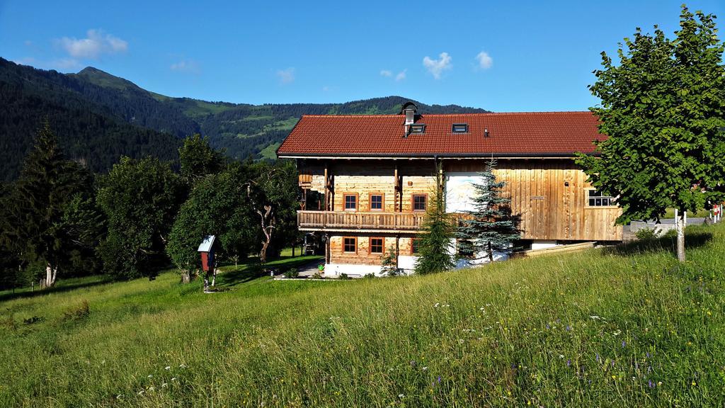 Schrandl Apartment Penningberg Hopfgarten im Brixental Eksteriør billede