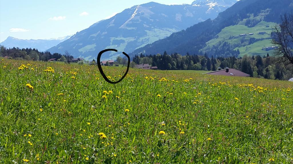 Schrandl Apartment Penningberg Hopfgarten im Brixental Eksteriør billede