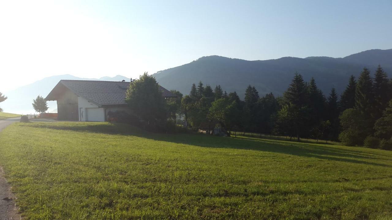 Schrandl Apartment Penningberg Hopfgarten im Brixental Eksteriør billede