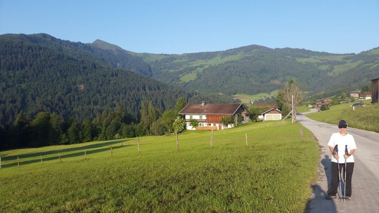 Schrandl Apartment Penningberg Hopfgarten im Brixental Eksteriør billede