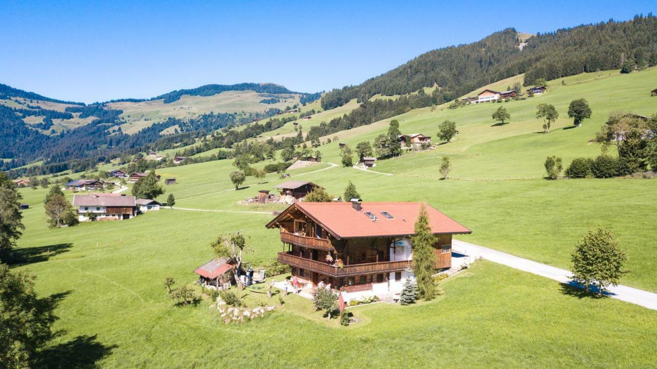 Schrandl Apartment Penningberg Hopfgarten im Brixental Eksteriør billede